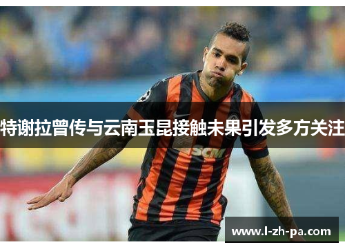 特谢拉曾传与云南玉昆接触未果引发多方关注