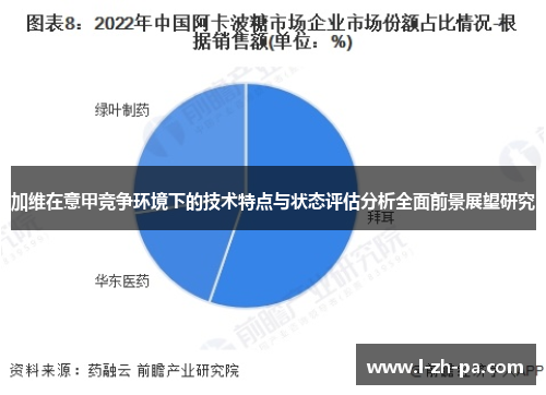 加维在意甲竞争环境下的技术特点与状态评估分析全面前景展望研究 加维在意甲竞争环境下的技术特点与状态评估分析全面前景展望研究